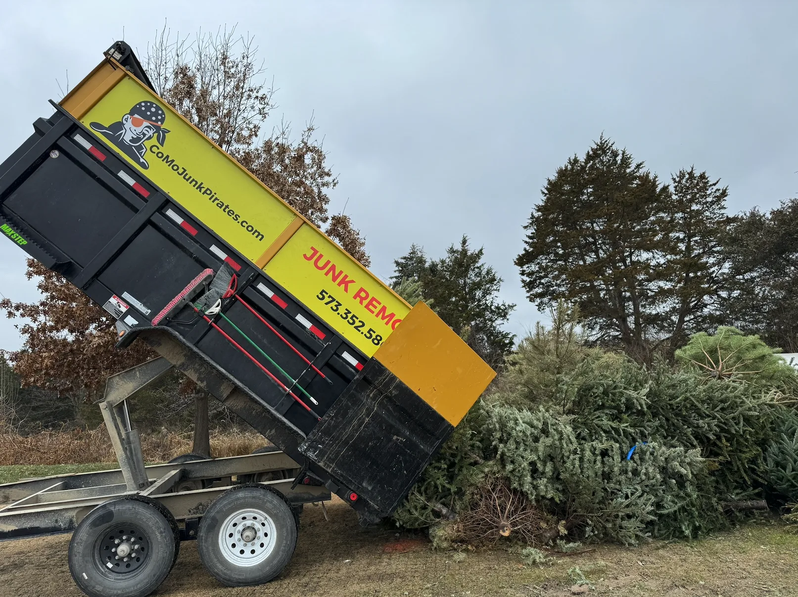 The Junk Pirates dump trailer tipped and unloading a pile of real Christmas trees at the Missouri Department of Conservation drop-off.
