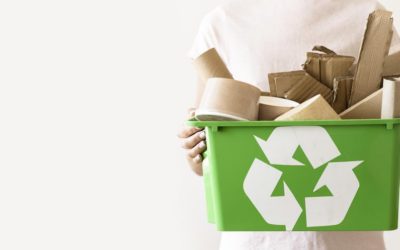 Junk Recycle